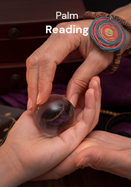 Palm Reading