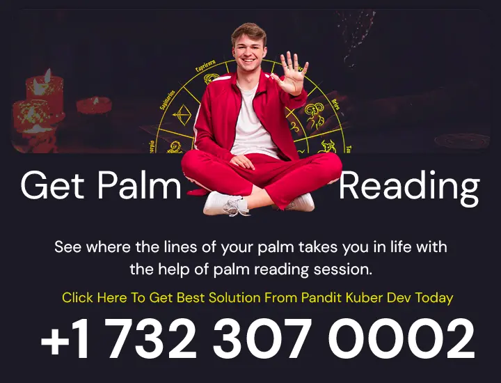 palm reading services by pandit kuber dev for future and career insights
