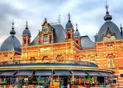 Best Astrologer in Malden MA